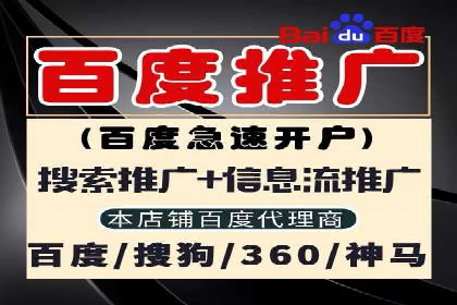 电商行业SEM运营的挑战与成功案例